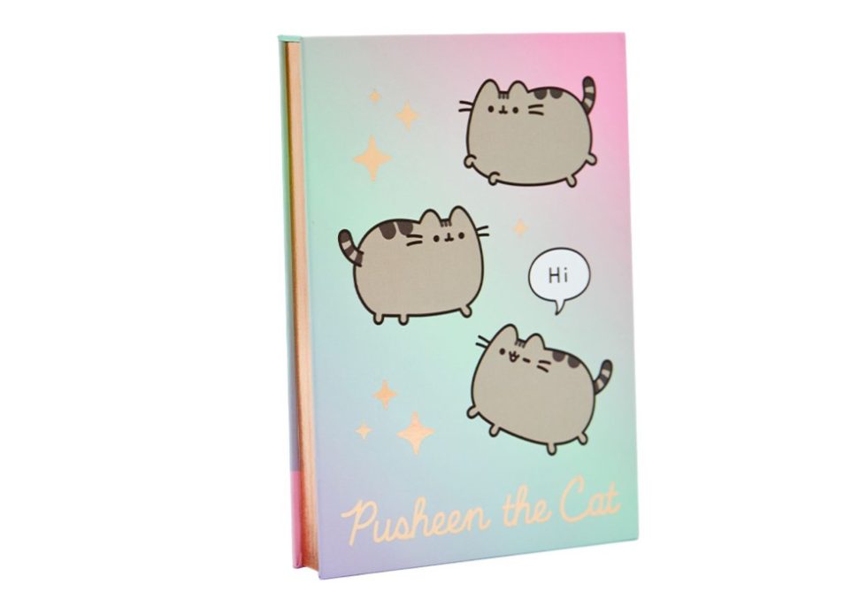 Block de Notas Pusheen Mooving
