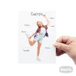 Láminas Partes del Cuerpo Dactic - Imagen 4